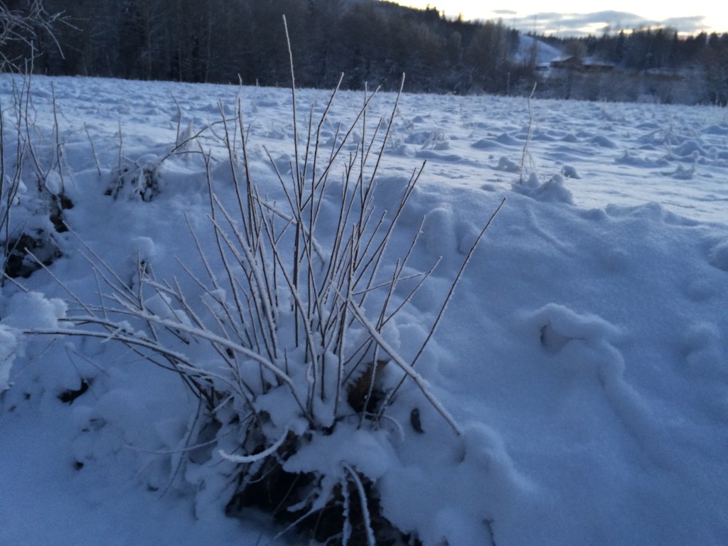 snö